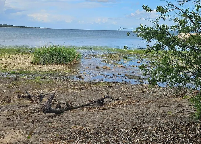 4 Person In Tatil Evi